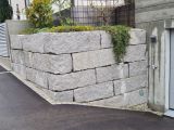 IMG-20220331-WA0002